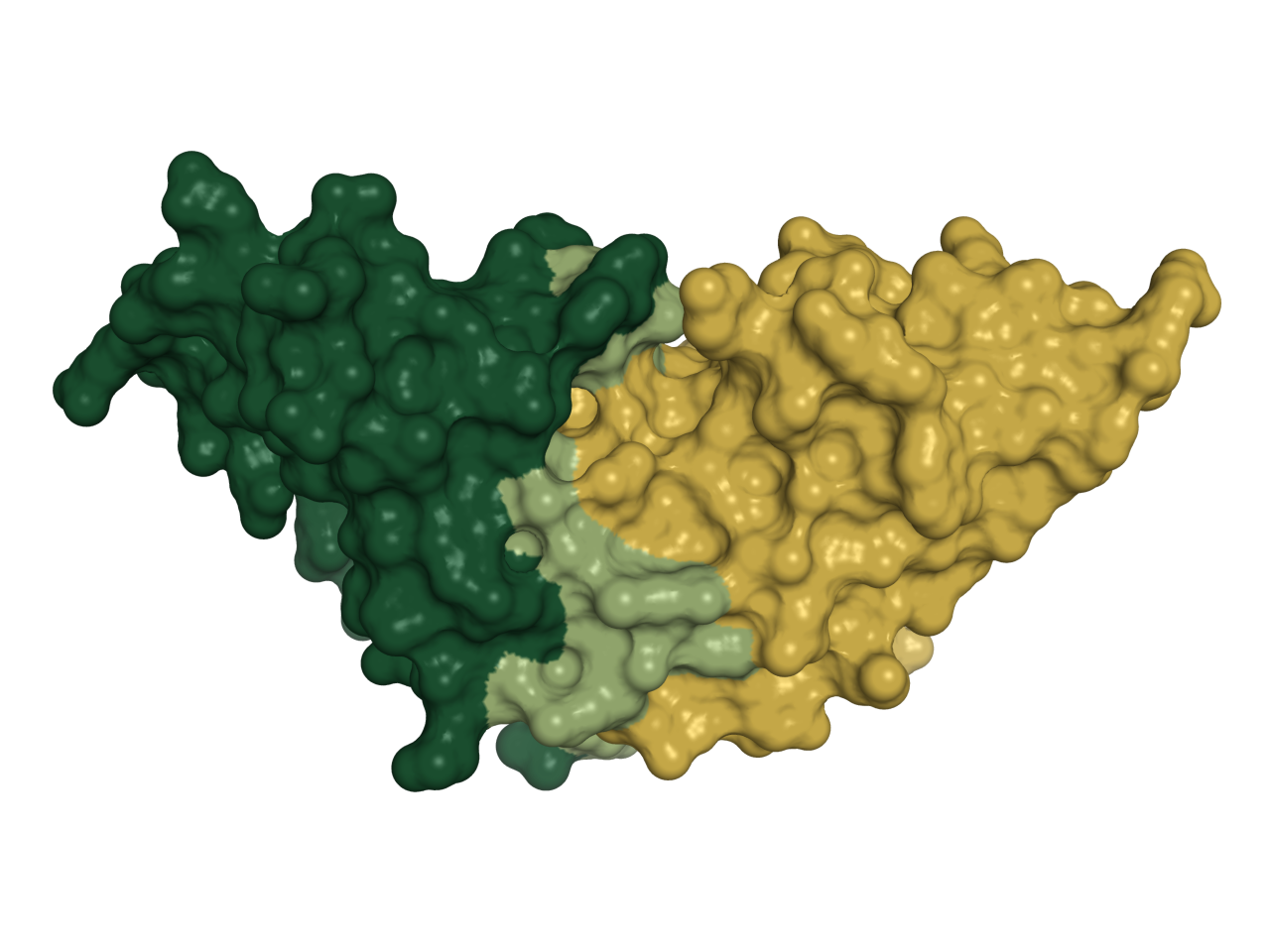A third, meeting the target across a broad epitope